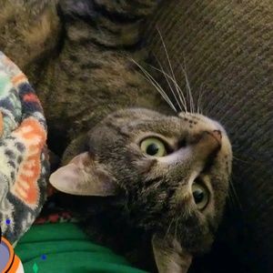 Meet your Posher, Shawna